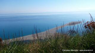 da di Volpe30-07-2015 22-55-53